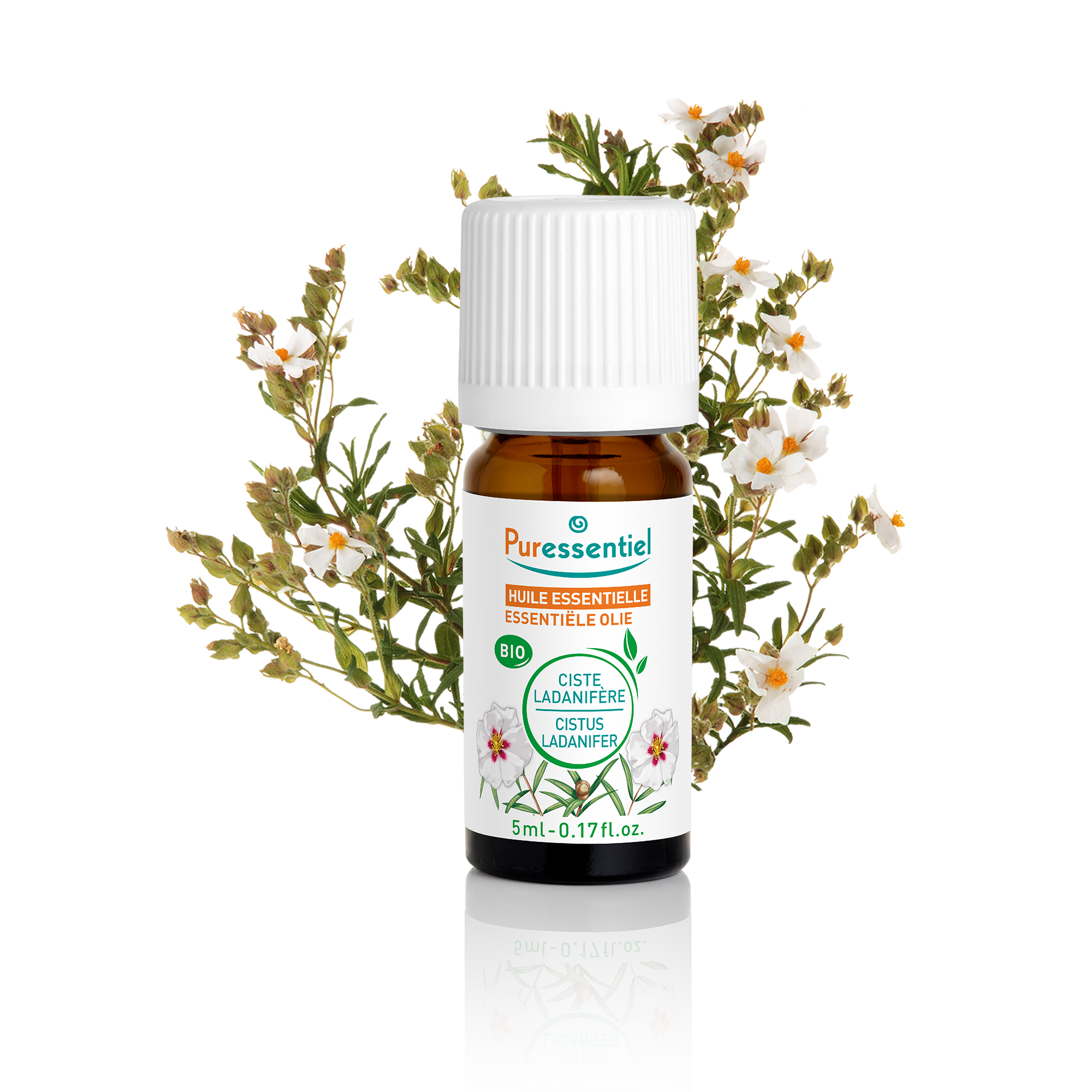 dève herbes Labdanum Essential Oil (Cistus ladaniferus) Pure dève herbes Labdanum Essential Oil (Cistus ladaniferus) Pure